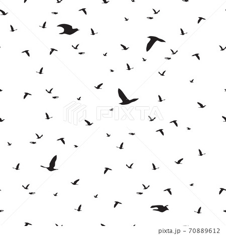 Seamless pattern flock of black birds silhouette flying on white, vector eps 10 Seamless pattern flock of black birds silhouette flying on white, vector eps 10 70889612