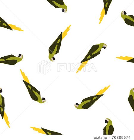 Seamless pattern Ara birds isolated on white background, vector eps 10 Seamless pattern Ara birds isolated on white background, vector eps 10 70889674