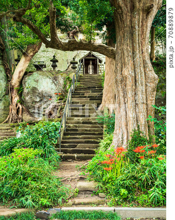 鎌倉 英勝寺 山門横の彼岸花と聖観菩薩の写真素材 7079