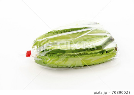 シカクマメ(ウリズンマメ)袋入り シカクマメ(ウリズンマメ)袋入り 70890023