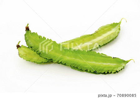 シカクマメ(ウリズンマメ) シカクマメ(ウリズンマメ) 70890085