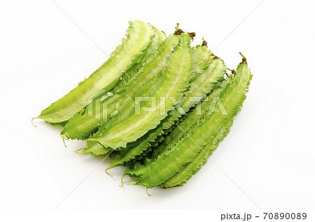 シカクマメ(ウリズンマメ) シカクマメ(ウリズンマメ) 70890089