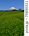 静岡県 富士山と新緑の茶畑 70890321