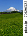 静岡県 富士山と新緑の茶畑 70890322