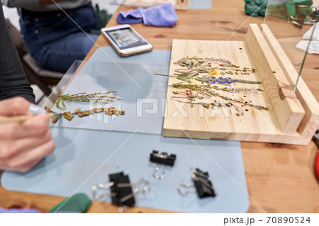 A woman lays out a composition. Master class on creating frame with Herbarium in tiffany technique in stained glass. Herbarium of dried different plants and flowers placed under a glass A woman lays out a composition. Master class on creating frame with Herbarium in tiffany technique in stained glass. Herbarium of dried different plants and flowers placed under a glass 70890524