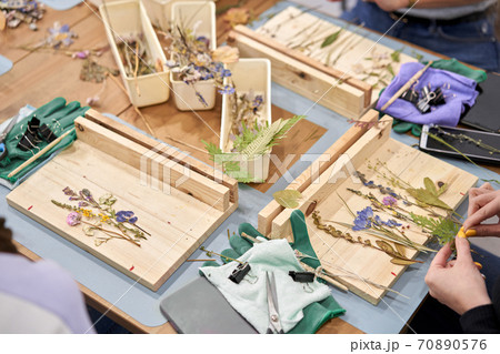 A woman lays out a composition. Master class on creating frame with Herbarium in tiffany technique in stained glass. Herbarium of dried different plants and flowers placed under a glass A woman lays out a composition. Master class on creating frame with Herbarium in tiffany technique in stained glass. Herbarium of dried different plants and flowers placed under a glass 70890576
