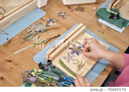 A woman lays out a composition. Master class on creating frame with Herbarium in tiffany technique in stained glass. Herbarium of dried different plants and flowers placed under a glass 70890579