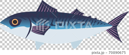  mackerel 70890675