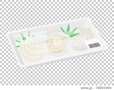 打包中的扇貝的插圖 打包中的扇貝的插圖 70891909