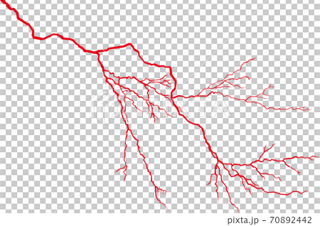 Capillary blood vessel Capillary blood vessel 70892442
