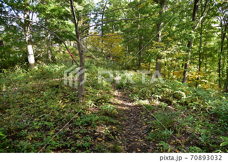 小田山公園 70893032