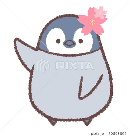 Cherry Blossom Information Penguins Hina Stock Illustration