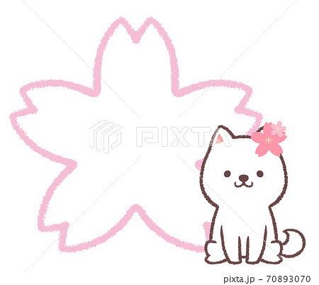 桜線画白柴犬フレーム 70893070