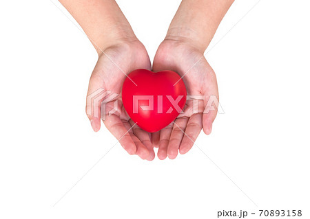 Heart in hands of young girl kid isolated on white background (clipping path) for charity donation, caregiving, give and take and caring concept 70893158