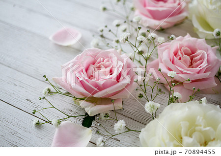 薔薇の花の背景素材の写真素材