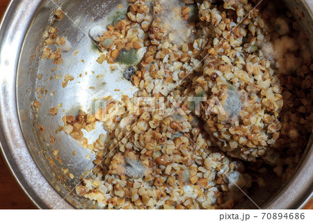 Fluffy fungi spores mold growing on buckwheat 70894686