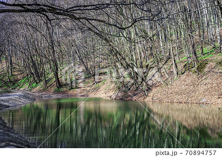 Spring landscape with lake in forest 70894757