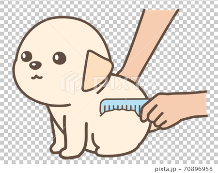 ブラッシングをされる子犬 ブラッシングをされる子犬 70896958