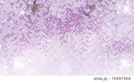 藤の花の背景 和風イラスト 藤棚 キラキラ 16 9のイラスト素材
