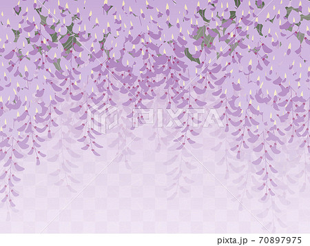 藤の花の背景_和風イラスト_藤棚 藤の花の背景_和風イラスト_藤棚 70897975