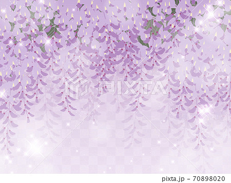 藤の花の背景 和風イラスト 藤棚 キラキラのイラスト素材 7080