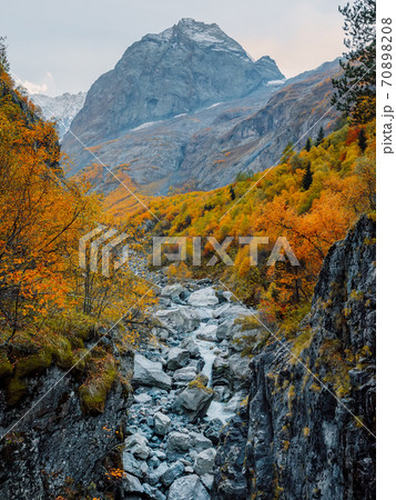 Rocky mountains and autumnal fall trees. High mountain landscape with river 70898208