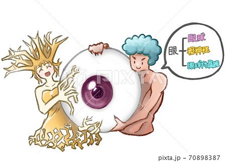 眼の構成擬人化(解説つき) 70898387