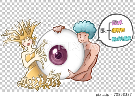 眼の構成擬人化(解説つき) 70898387