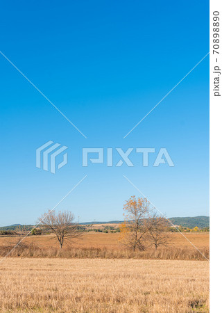 Dry hay field with a clear cut path warm color bulgaria rural landscape sun day clear blue sky 70898890