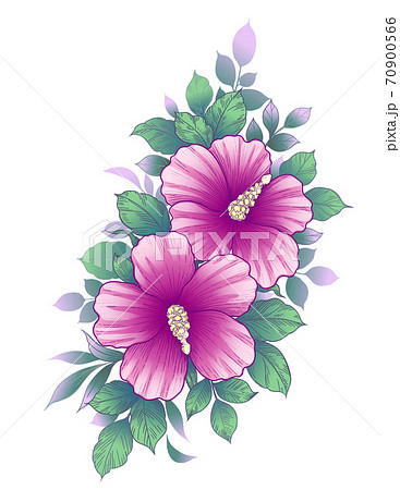 Hand Drawn Floral Bunch with Pink Hibiscus Hand Drawn Floral Bunch with Pink Hibiscus 70900566