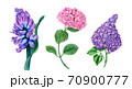 Vintage floral collection of Hyacinth, Hydrangea and Lilac  70900777