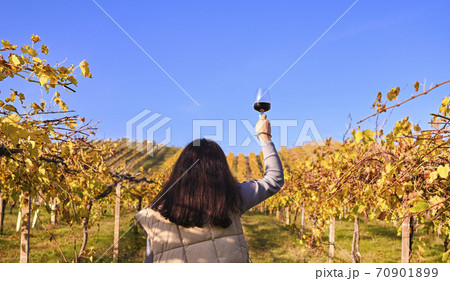 Woman with a dreamy look and a glass of wine on a farm in italy. Magnificent vineyard in the hills 70901899