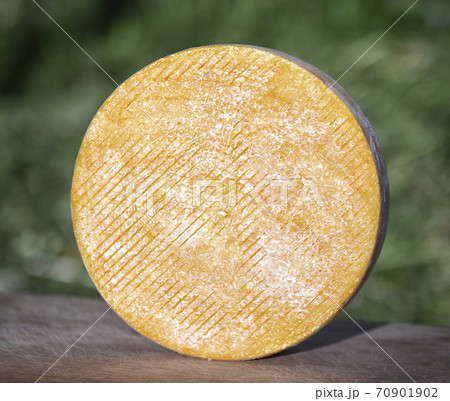 Craft cheese from cows and goats milk. Cheese head Craft cheese from cows and goats milk. Cheese head 70901902