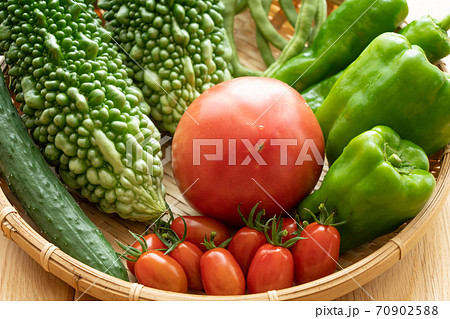 夏野菜の盛り合わせ 収穫 (7月) 家庭菜園 夏野菜の盛り合わせ 収穫 (7月) 家庭菜園 70902588