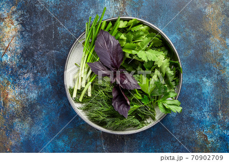 Plate with parsley, dill, cilantro, green onions, red basil on blue background Plate with parsley, dill, cilantro, green onions, red basil on blue background 70902709