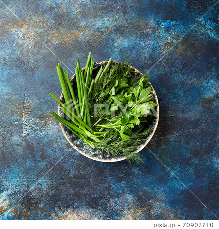 Plate with parsley, dill, cilantro, green onions on blue background Plate with parsley, dill, cilantro, green onions on blue background 70902710