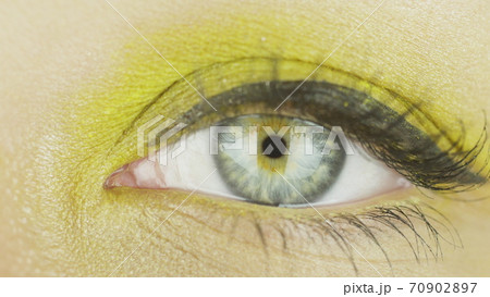 One female eye with makeup open, blink, look directly and to the side. Close-up 70902897
