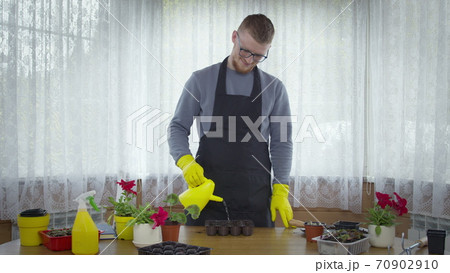 Young male gardener watering soil for seedlings in palettes, plants cultivation Young male gardener watering soil for seedlings in palettes, plants cultivation 70902910