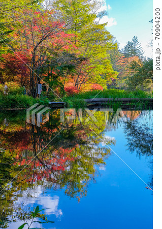 雲場池に映る紅葉(縦) 雲場池に映る紅葉(縦) 70904200