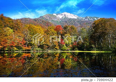 刈込池 紅葉 白山国立公園 三段紅葉 三ノ峰 冠雪の写真素材 [70904422] - PIXTA