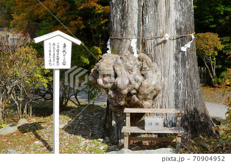 中禅寺（立木観音）日光山輪王寺別院の身代わり瘤 70904952