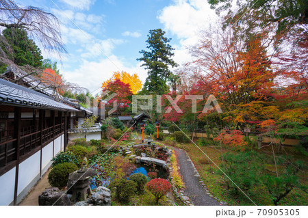 京都　十輪寺（なりひら寺）の紅葉 70905305