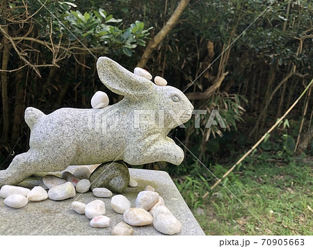 疾走感のある因幡の白兎の写真素材