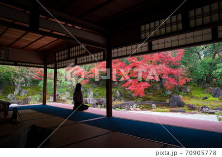 京都　高台寺塔頭　圓徳院の紅葉 70905778