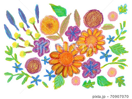秋の花のクレヨンイラストのイラスト素材