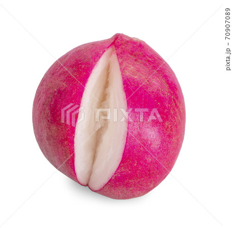 Small garden radish an isolated on white background 70907089