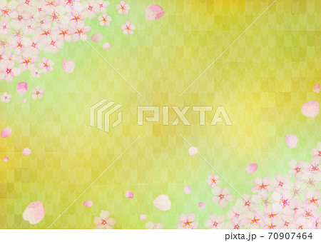 日本画風 ひな祭り背景イラスト 金箔屏風と花びら散る満開の桜 背景に着物和柄 矢絣 やがすりのイラスト素材