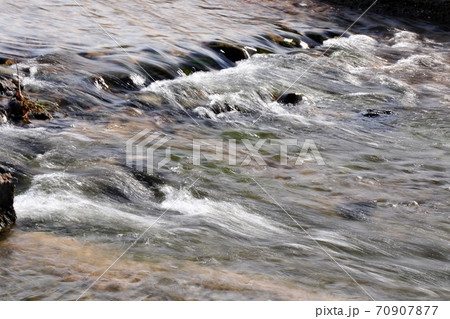 秋の風景：天の川水辺：葦の穂：清流の流れ 70907877