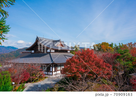 京都 将軍塚青龍殿の紅葉の写真素材