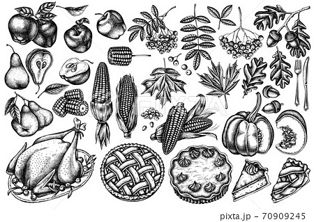 Vector set of hand drawn black and white pumpkin, fork, knife, pears, turkey, pumpkin pie, apple pie 70909245